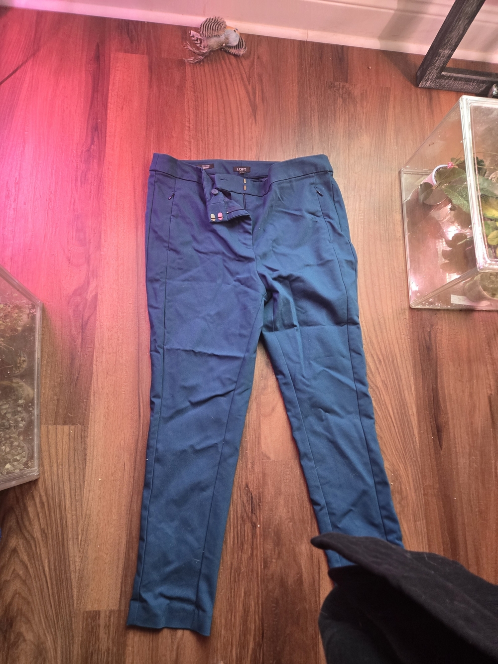 LOFT High Waisted Teal Slim Pants 14